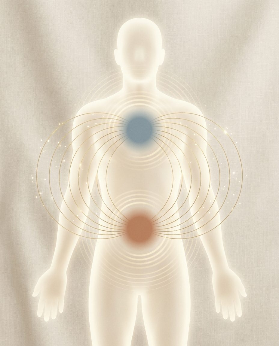 Artistic illustration of golden magnetic field lines flowing between two poles on a human figure